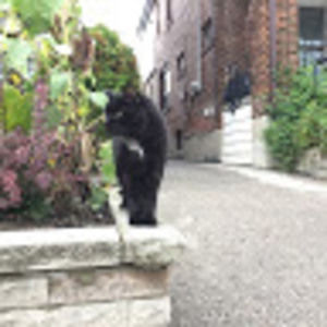 Meet your Posher, Andrew